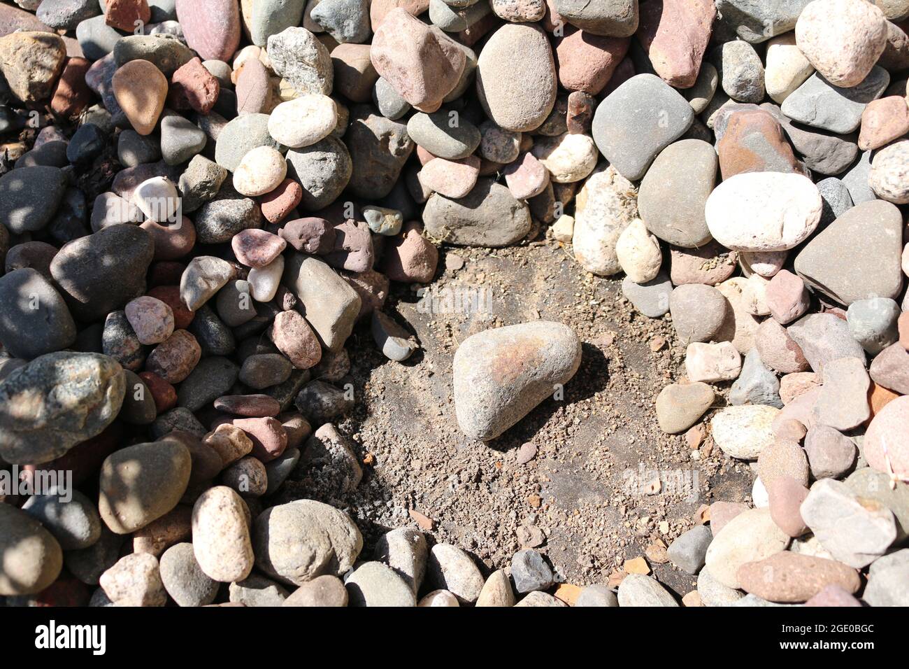 Planting around rocks Stock Photo Alamy