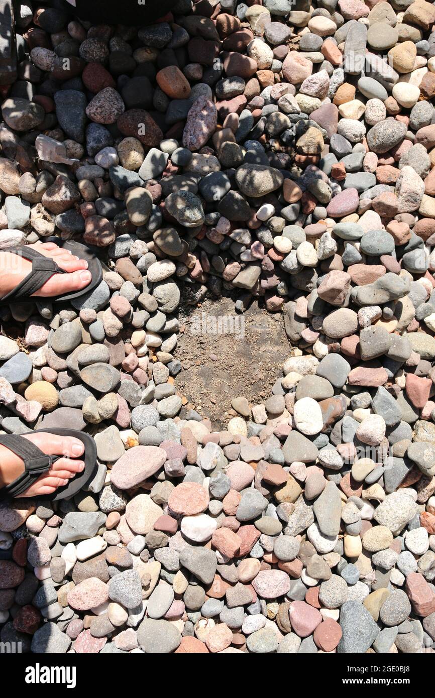 Planting around rocks Stock Photo Alamy