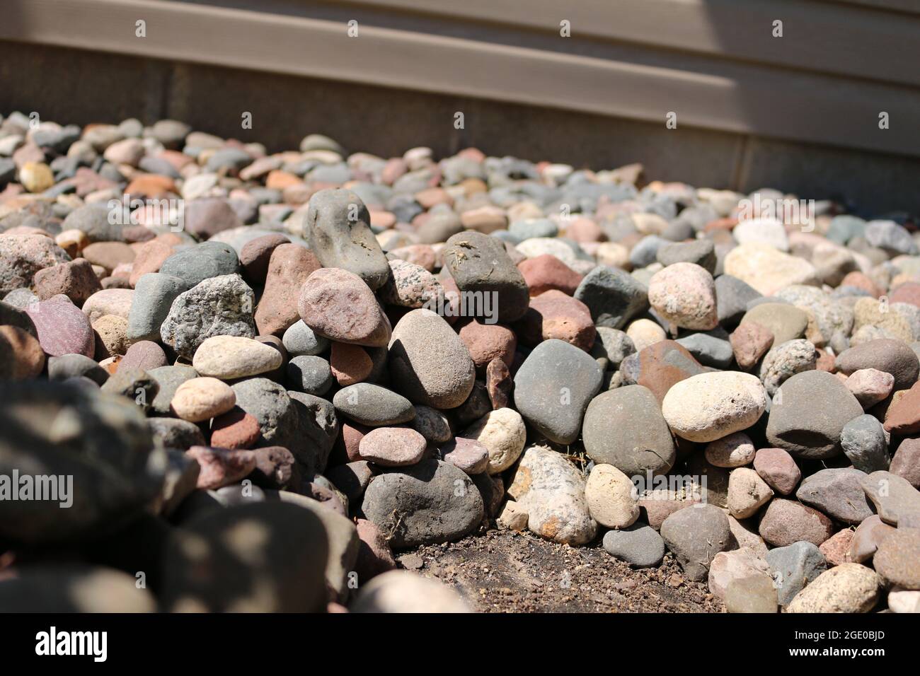Planting around rocks Stock Photo Alamy