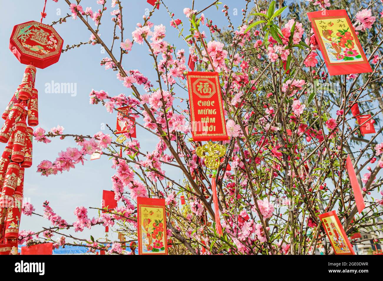 Chinese New Year Banner Images – Browse 188,059 Stock Photos