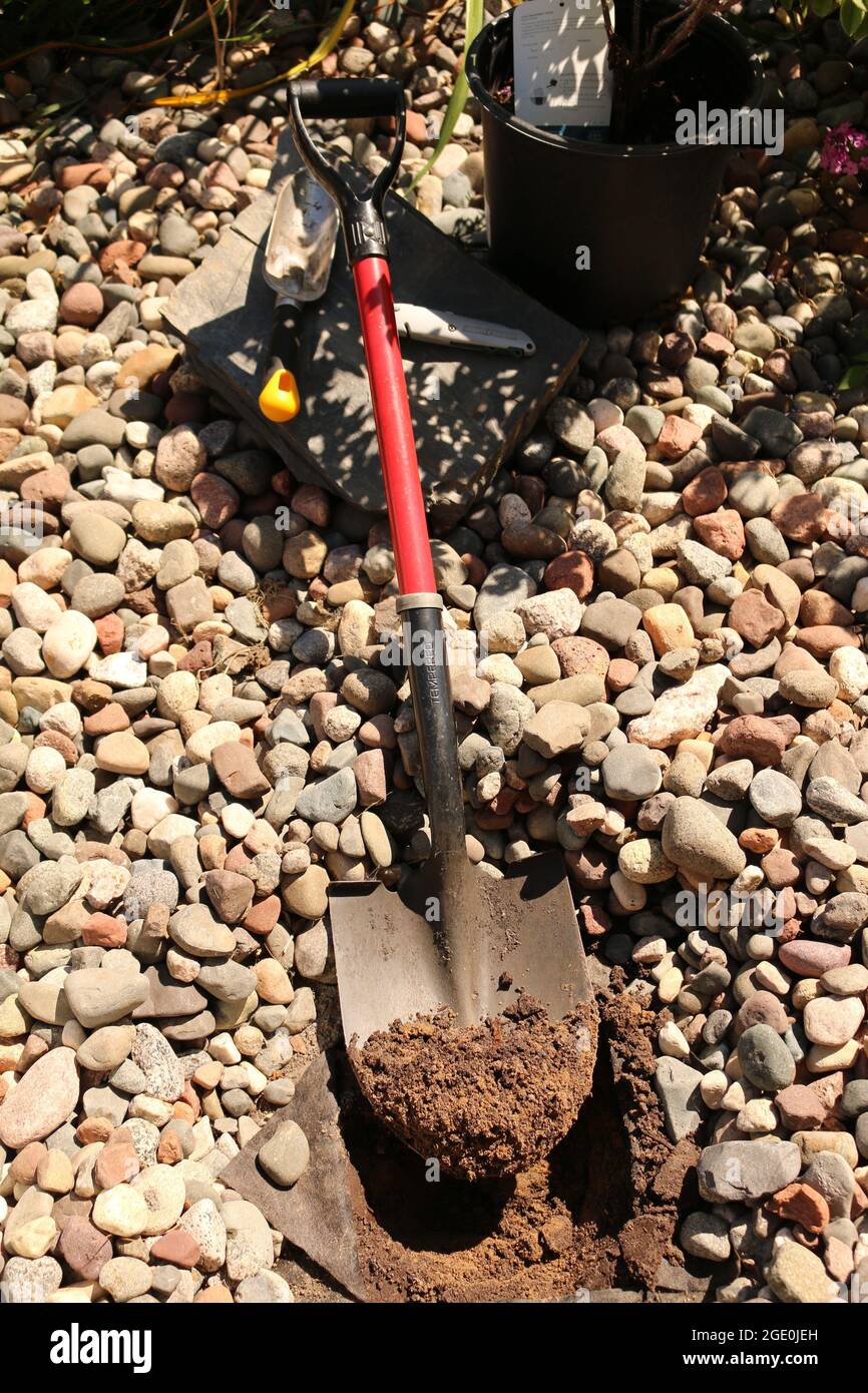 Digging a hole with a shovel Stock Photo Alamy