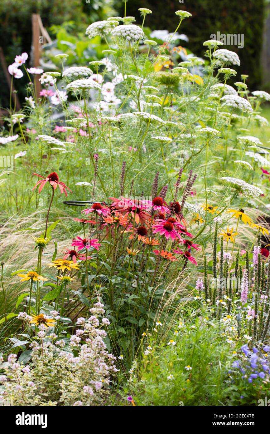 Flower garden border hi-res stock photography and images - Alamy