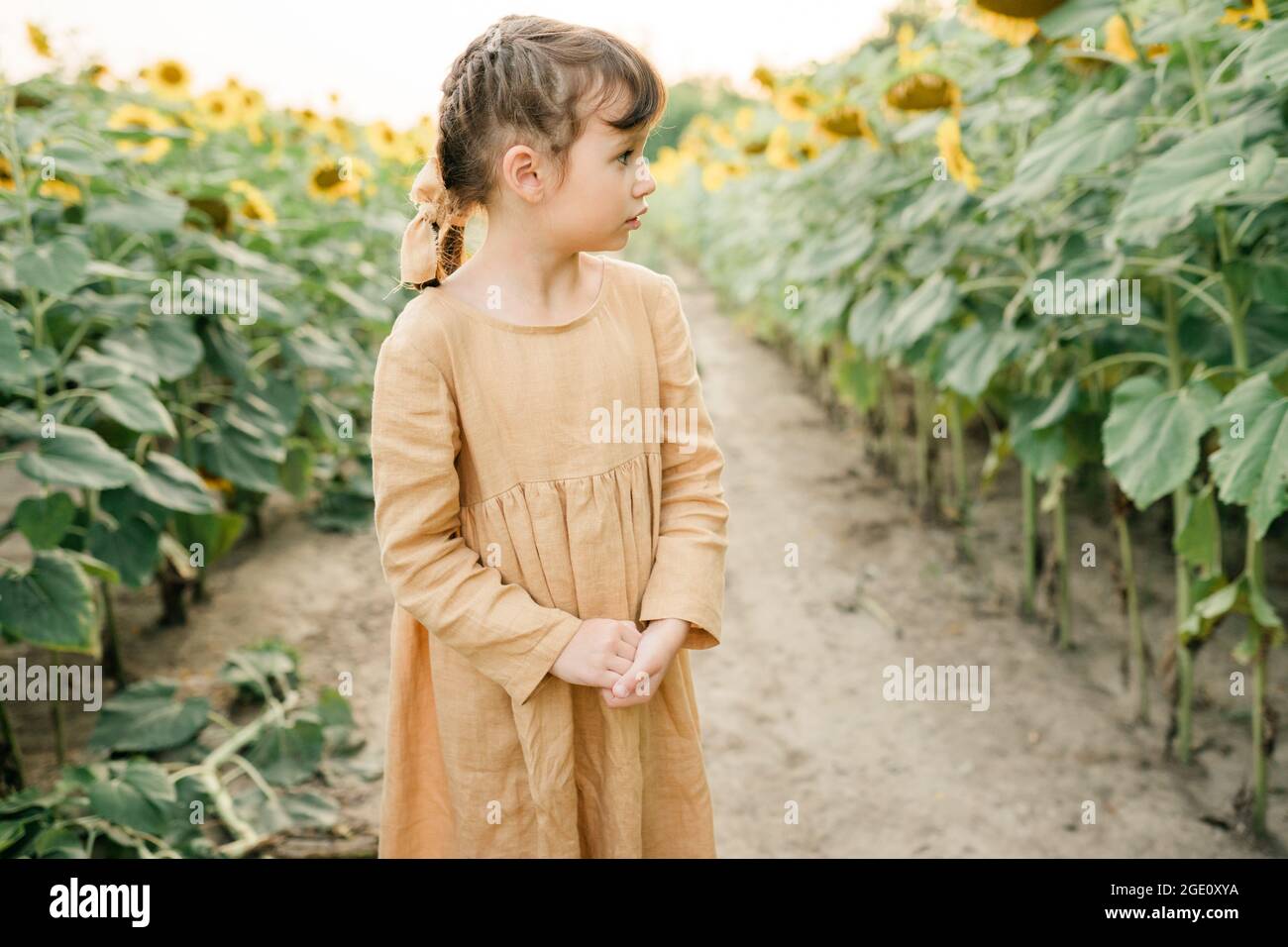 Happy child girl in the field of sunflowers Stock Photo