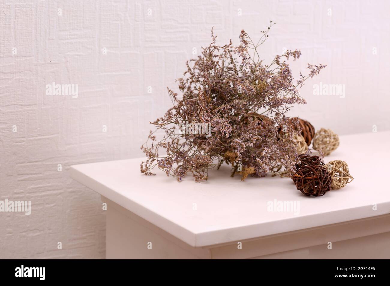 Still life of dried flowers on white wall background Stock Photo Alamy