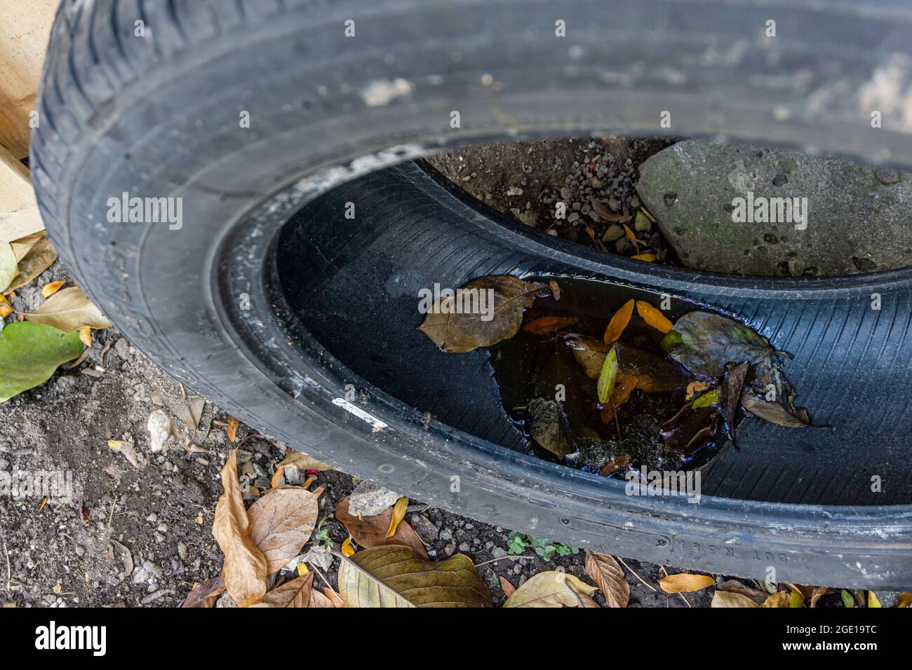 A little puddle of water and loose leaves trapped inside an old vehicle