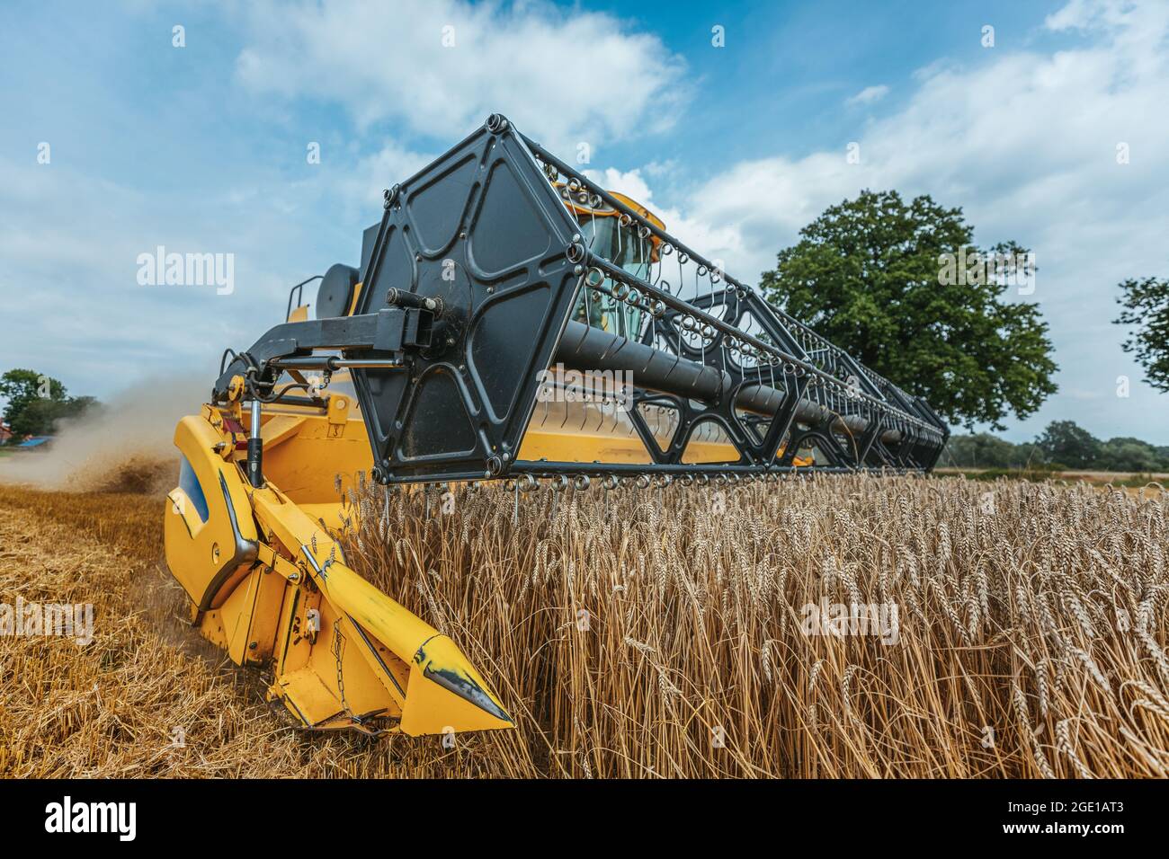 https://c8.alamy.com/comp/2GE1AT3/a-yellow-combine-harvests-wheat-on-a-field-in-germany-2GE1AT3.jpg