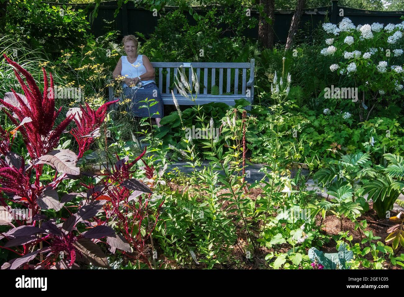 Visitor seated on bench at Berkshire Botanical Garden in Stockbridge, MA Stock Photo
