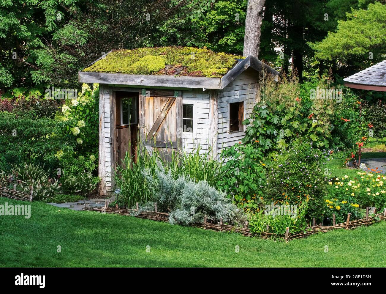 Potting shed with sedum roof designed by Martha Stewart at Berkshire Botanical garden MA, USA Stock Photo