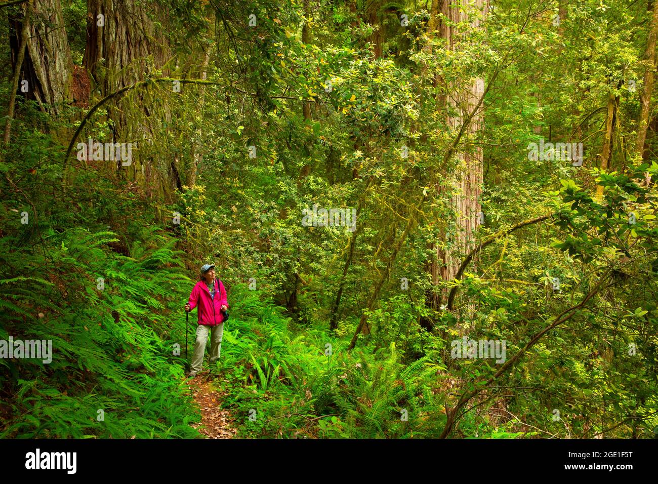 Wellman hires stock photography and images Alamy