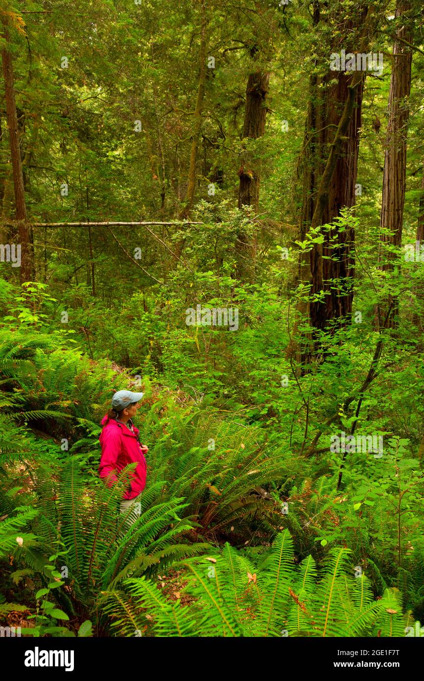 Wellman hires stock photography and images Alamy