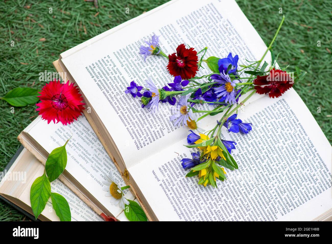 the carnation lies on the books open in the clearing Stock Photo Alamy