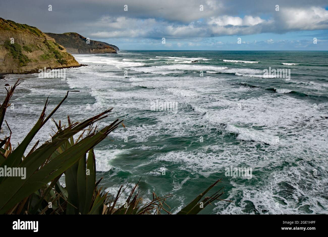 Muriwai Beach Gannet Colony and environs Stock Photo