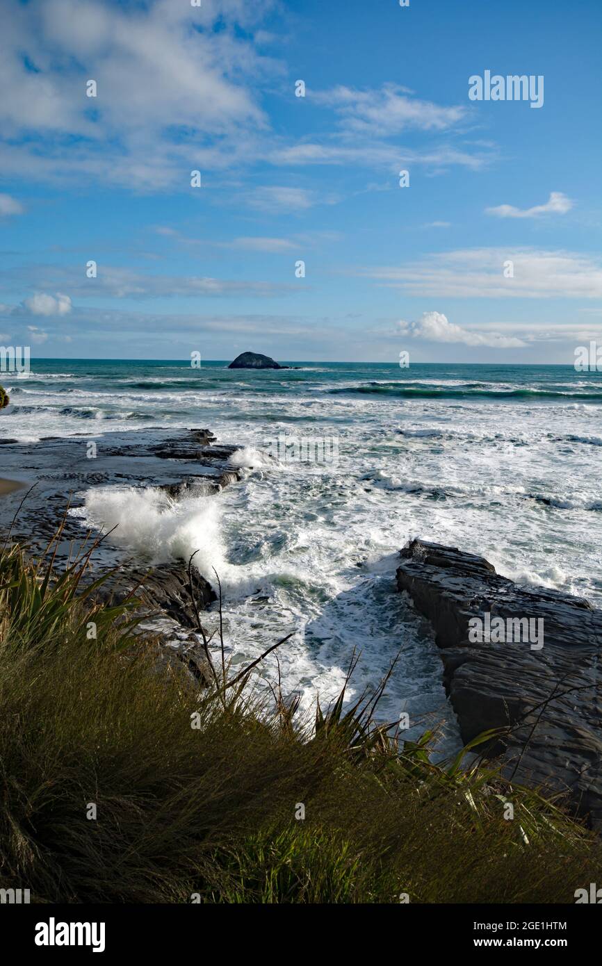Muriwai Beach Gannet Colony and environs Stock Photo