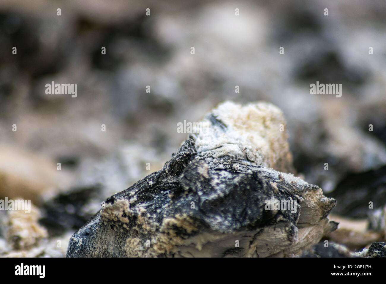 Queimadas hi-res stock photography and images - Alamy