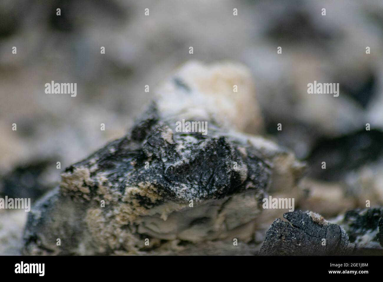 Queimadas hi-res stock photography and images - Alamy