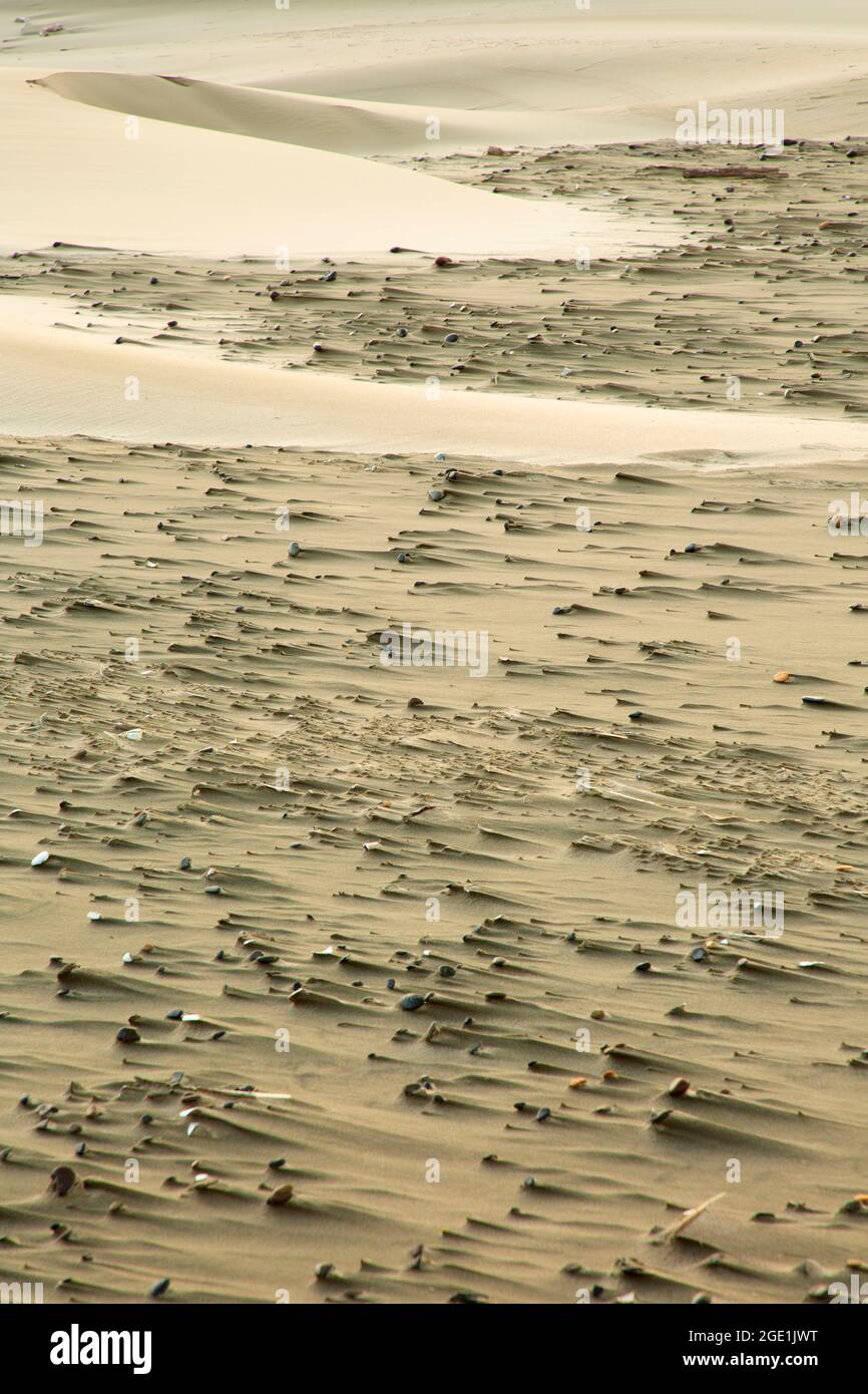 Beach wind patterns, Carl G. Washburne Memorial State Park, Oregon Stock Photo