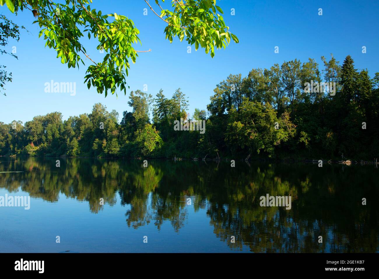 Willamette River, San Salvadore Park, St Paul, Oregon Stock Photo - Alamy
