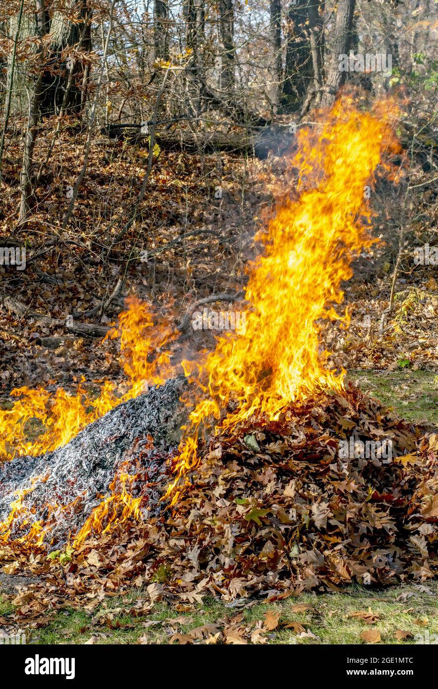 Burning a pile of fallen leaves in the yard Stock Photo Alamy