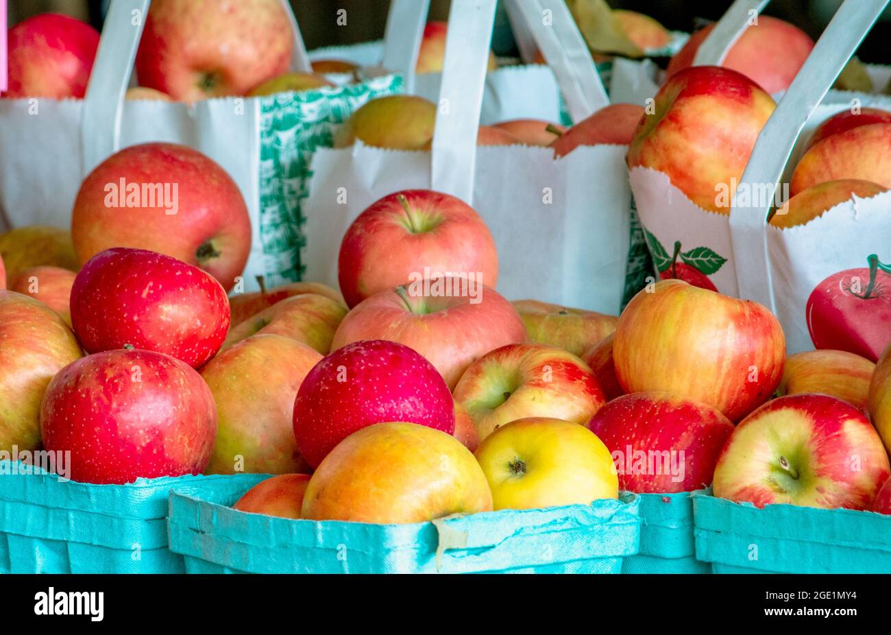 Bags of Michigan apples are ready for purchase at a fruit stand Stock Photo Alamy