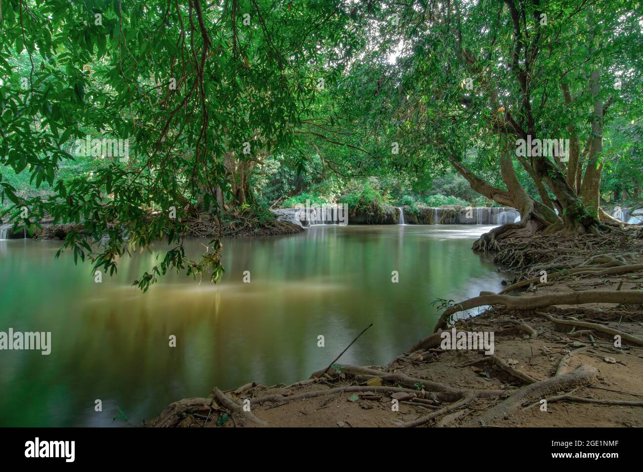 Beautiful lake in jungle forest hi-res stock photography and images - Alamy