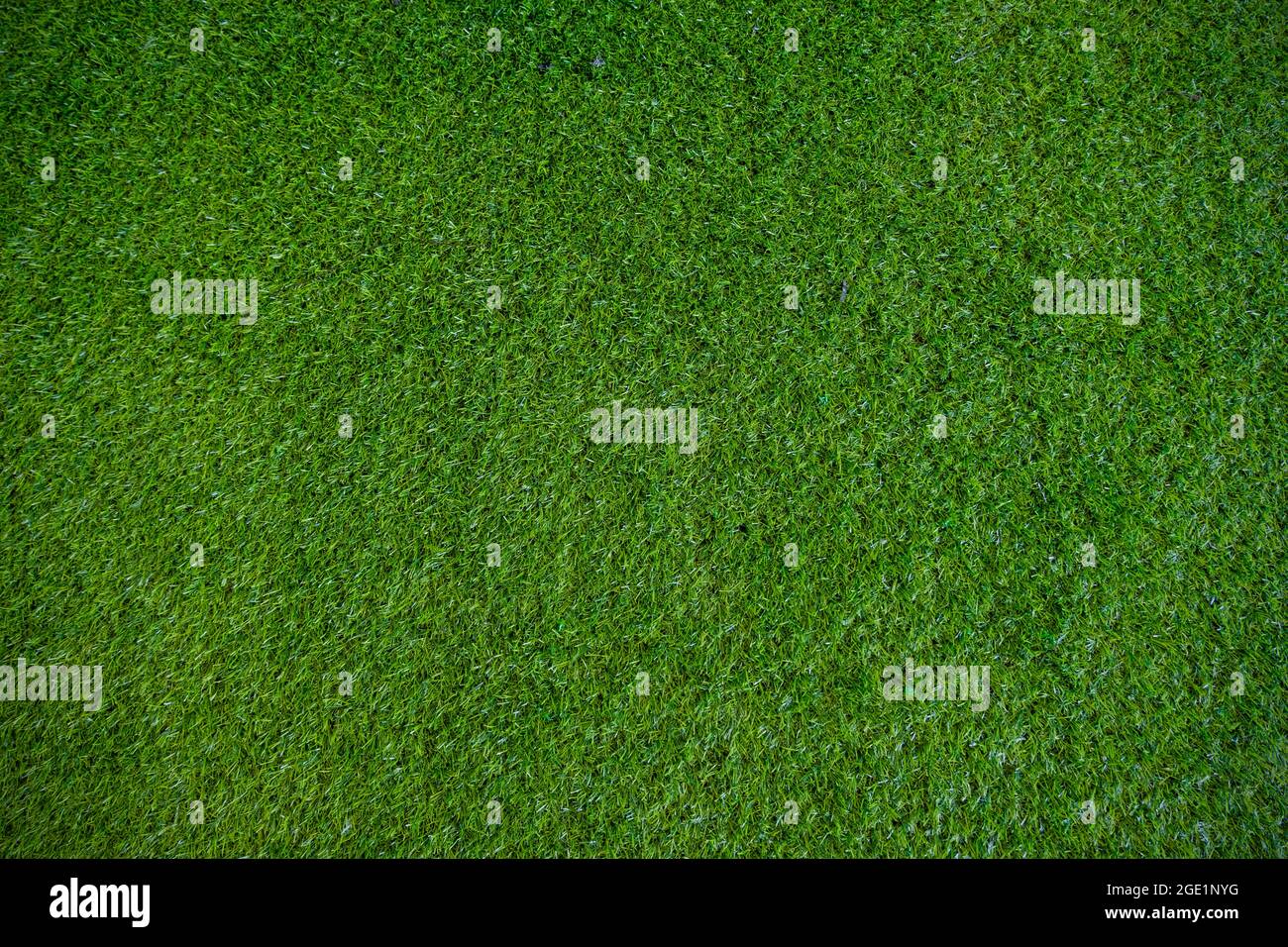 artificial grass. green field background.look freshness decorated