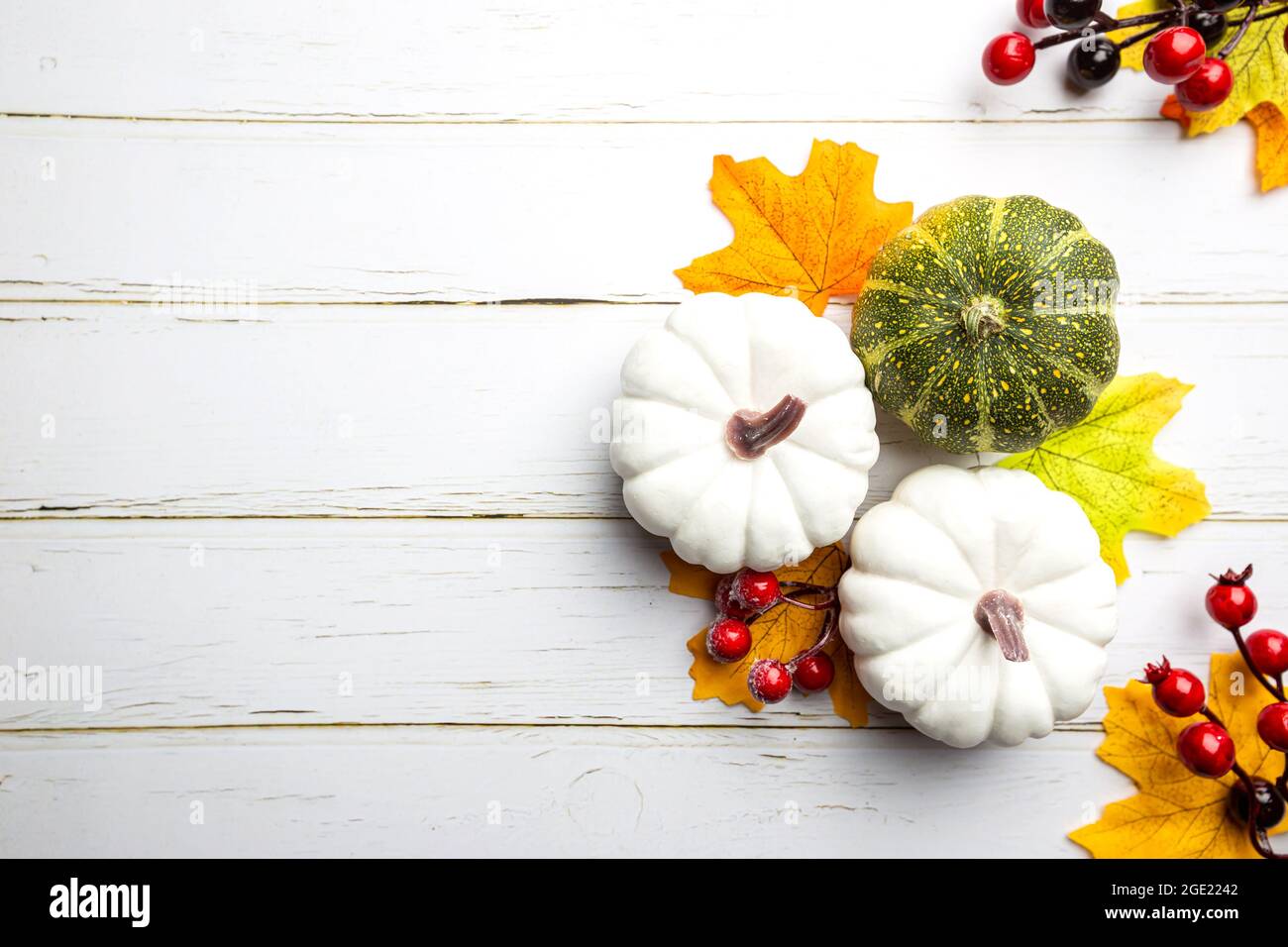 Autumn side border of white pumpkins and autumn leaves over a rustic ...