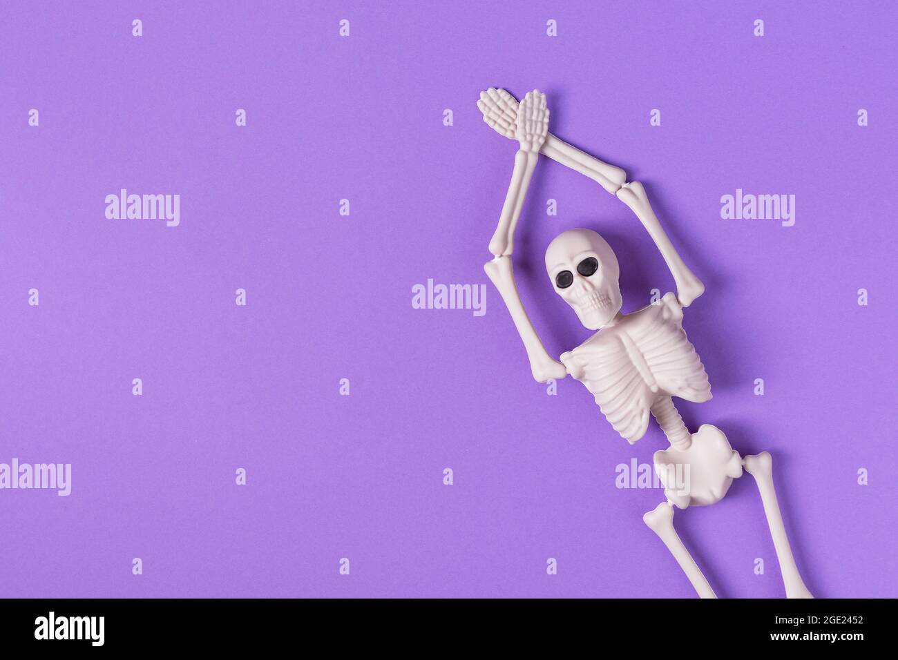 Halloween background with human skeleton on purple background top view.  Halloween greeting card Stock Photo - Alamy