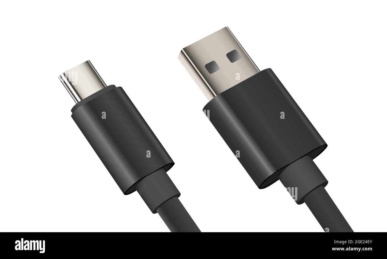 Data transfer cable or charging cable vector isolated. Wired cable