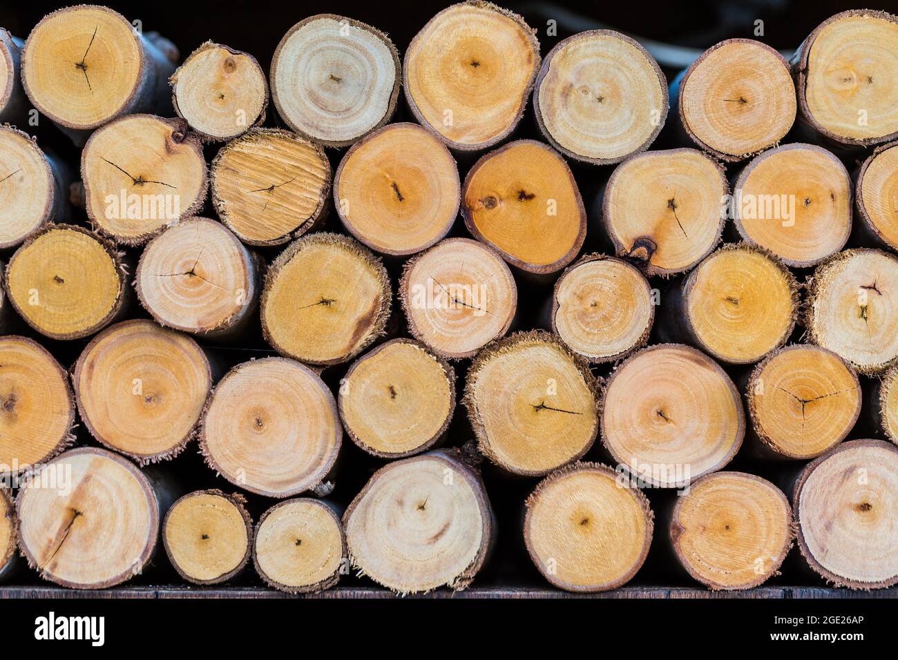 pile of cut tree logs wood texture background Stock Photo - Alamy