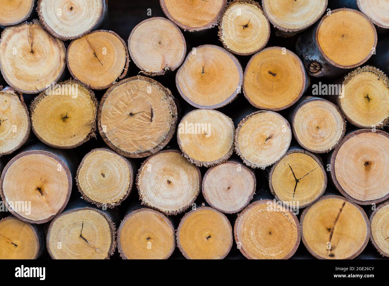 pile of cut tree logs wood texture background Stock Photo - Alamy