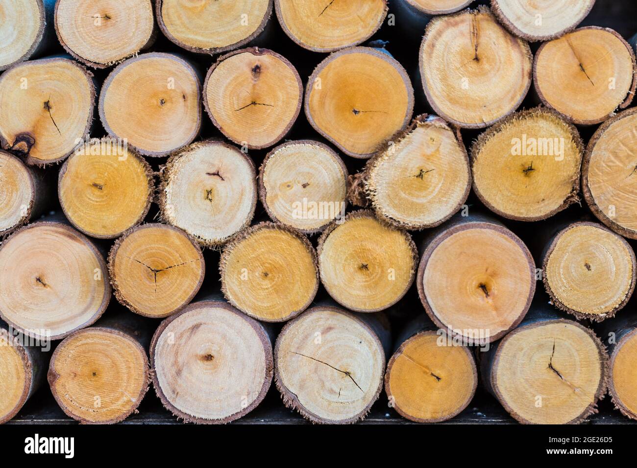 pile of cut tree logs wood texture background Stock Photo - Alamy