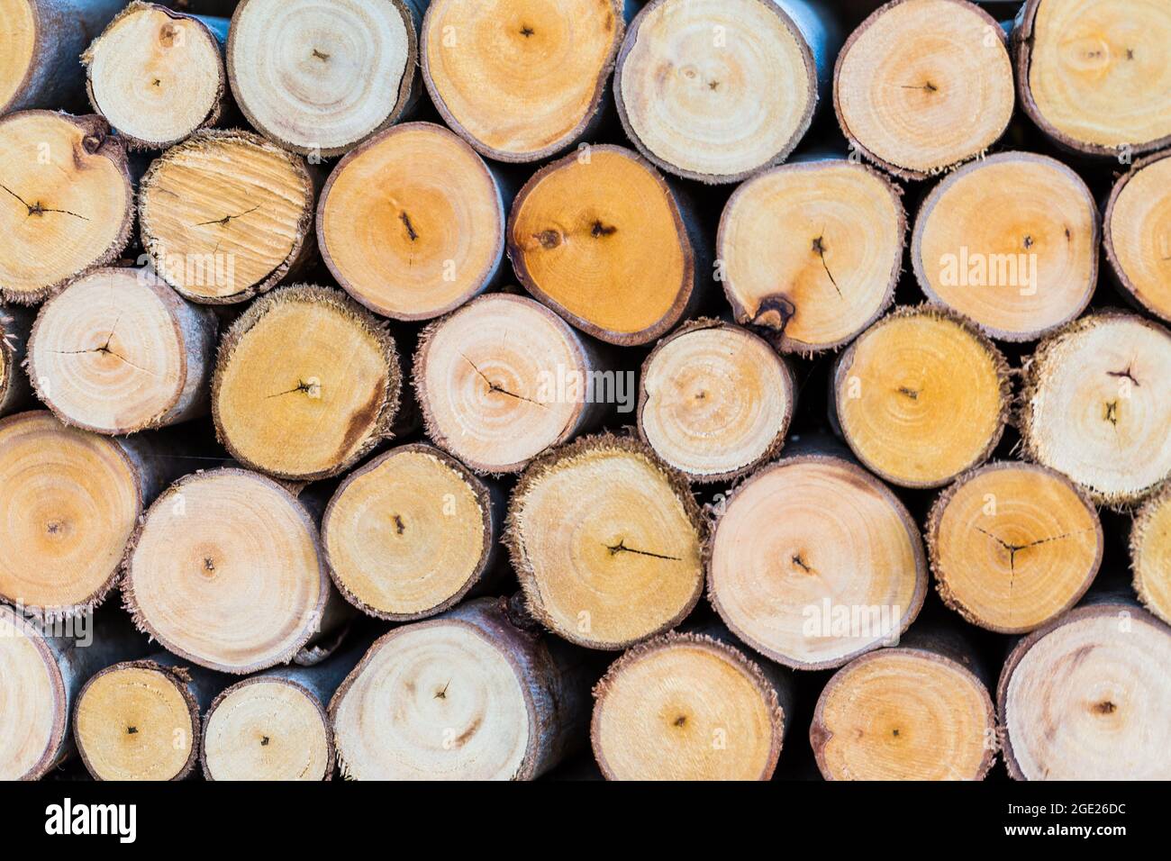 pile of cut tree logs wood texture background Stock Photo - Alamy