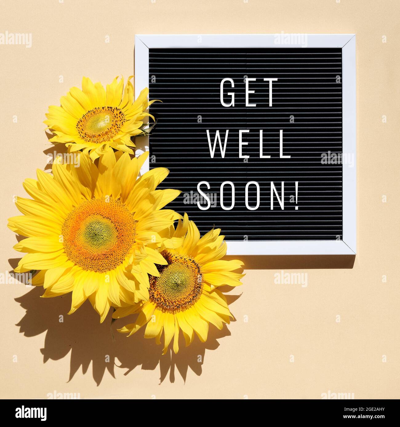 Get well soon, text on letter board with sunflowers. Flat lay with natural flowers and motivation message on black letterboard. Sunshine with long Stock Photo