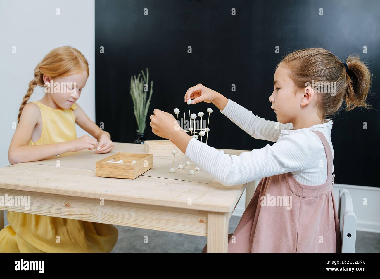 Immersed girls are busy building 3d shapes from plasticine and toothpicks Stock Photo