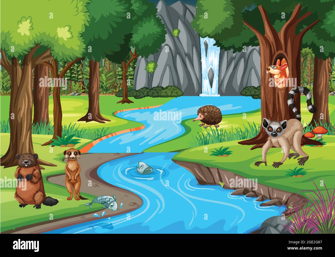 Nature scene with stream flowing through the forest with wild animals  illustration Stock Vector Image & Art - Alamy