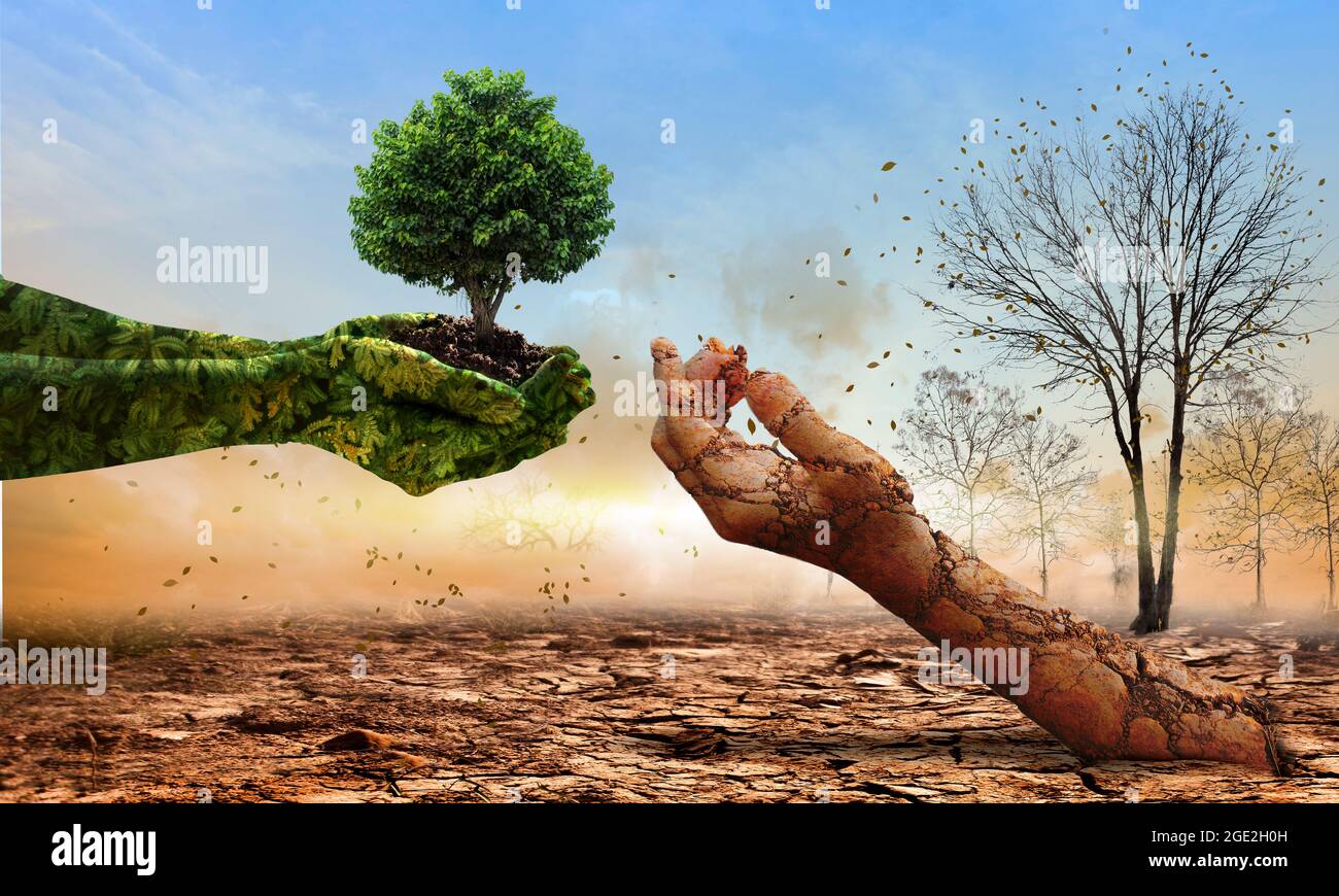 Green hands holding tree growing and dry soil hand on crack earth. Saving environment and natural conservation concept. Stock Photo