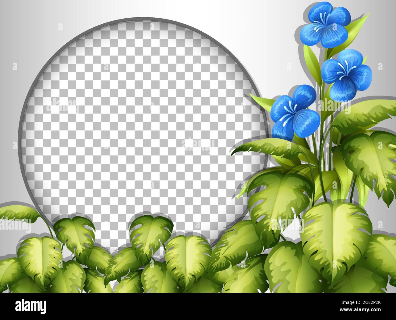 Round frame transparent with tropical flowers and leaves template ...