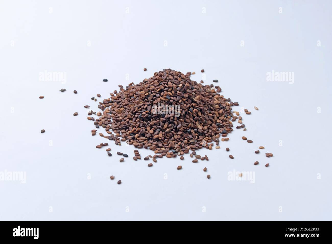 Black Sesame seeds, Sesamum indicum, Satara, Maharashtra, India Stock Photo
