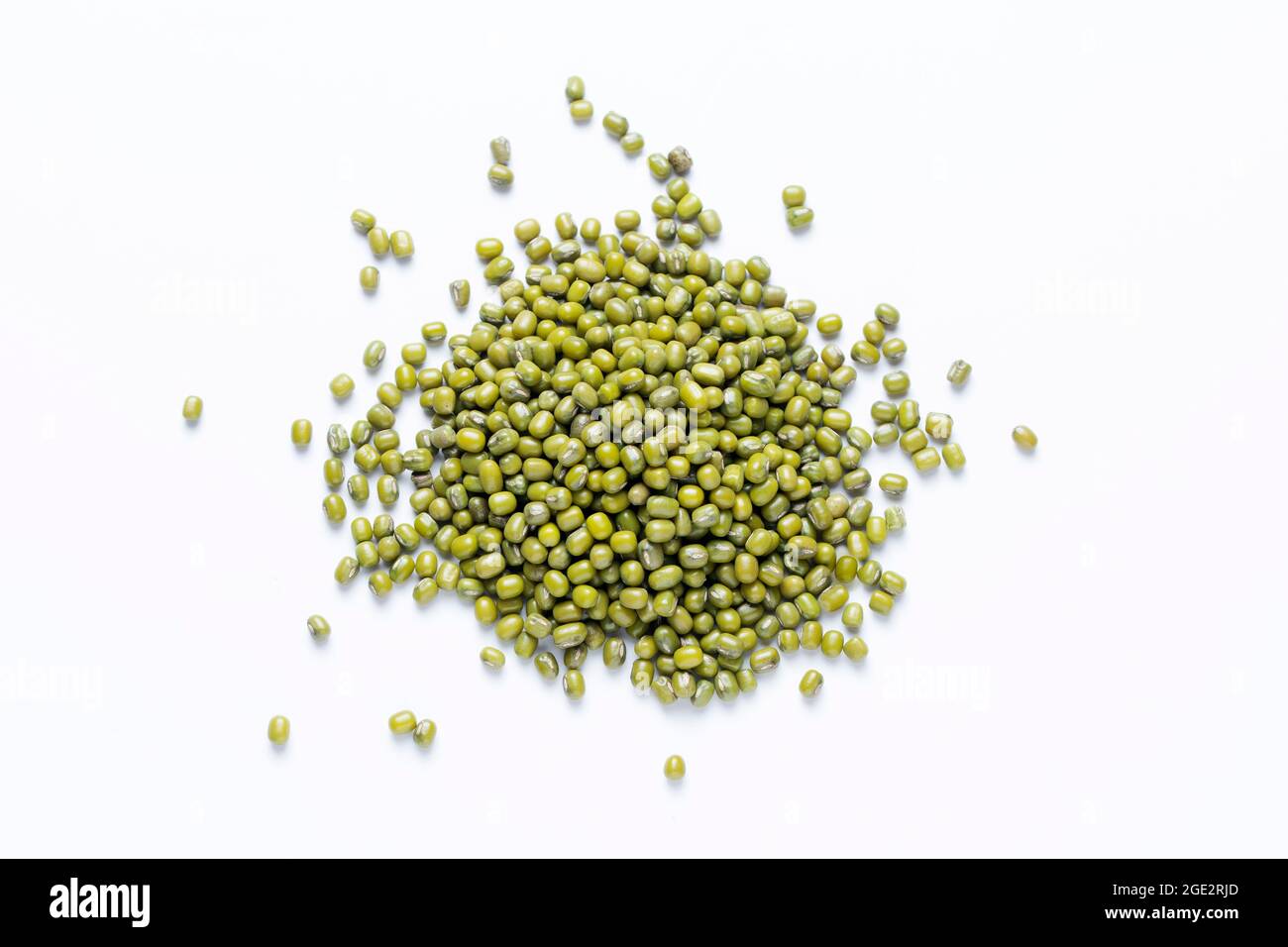 The mung bean alternatively known as the green gram, Vigna radiata, Satara, Maharashtra, India Stock Photo