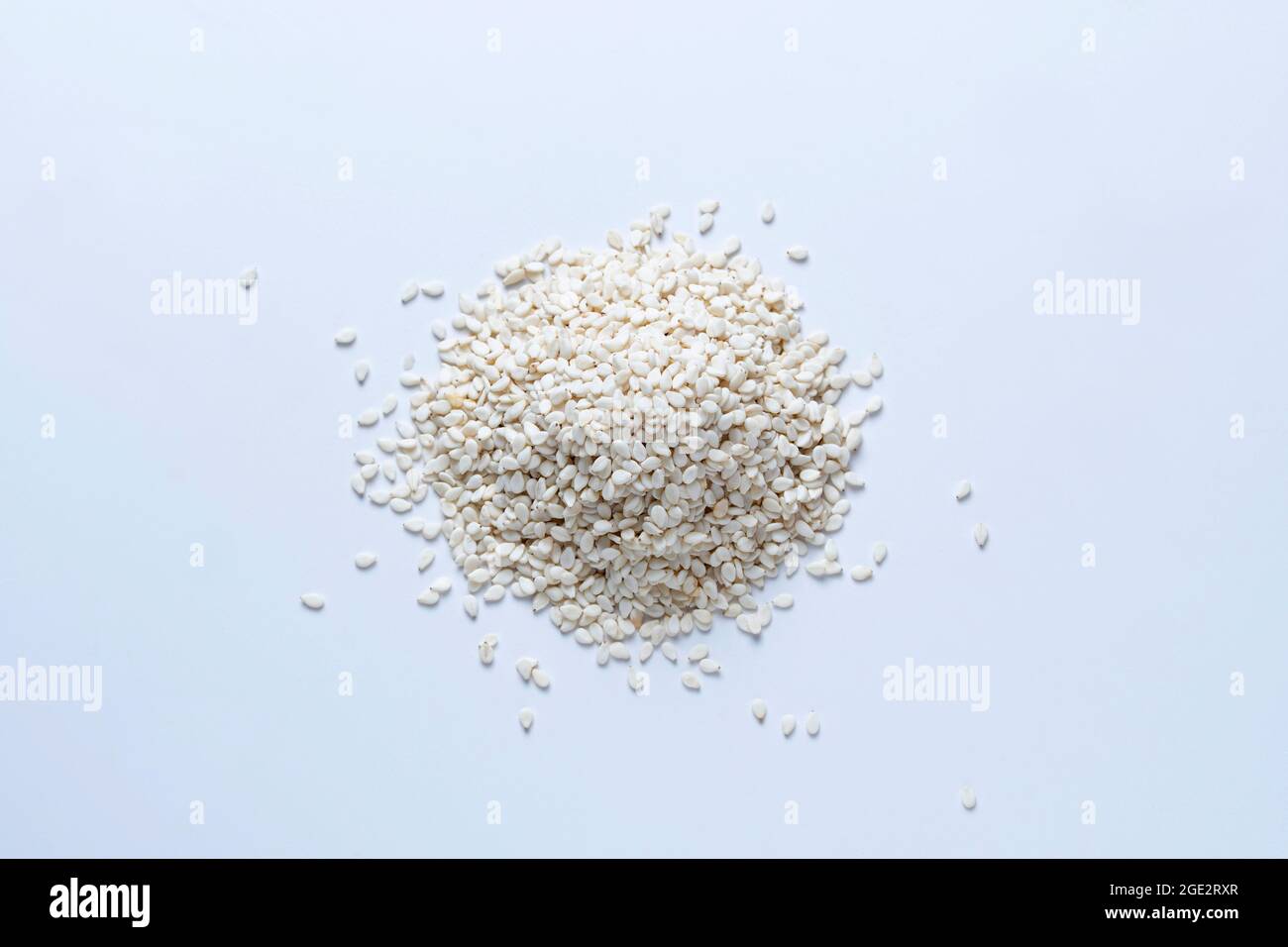 White sesame seeds, Sesamum indicum, Satara, Maharashtra, India Stock Photo