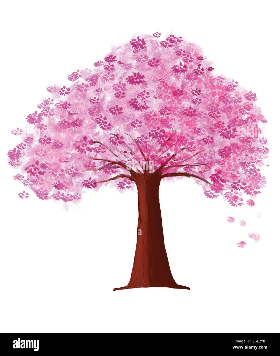 Cherry Tree Blossom Drawing
