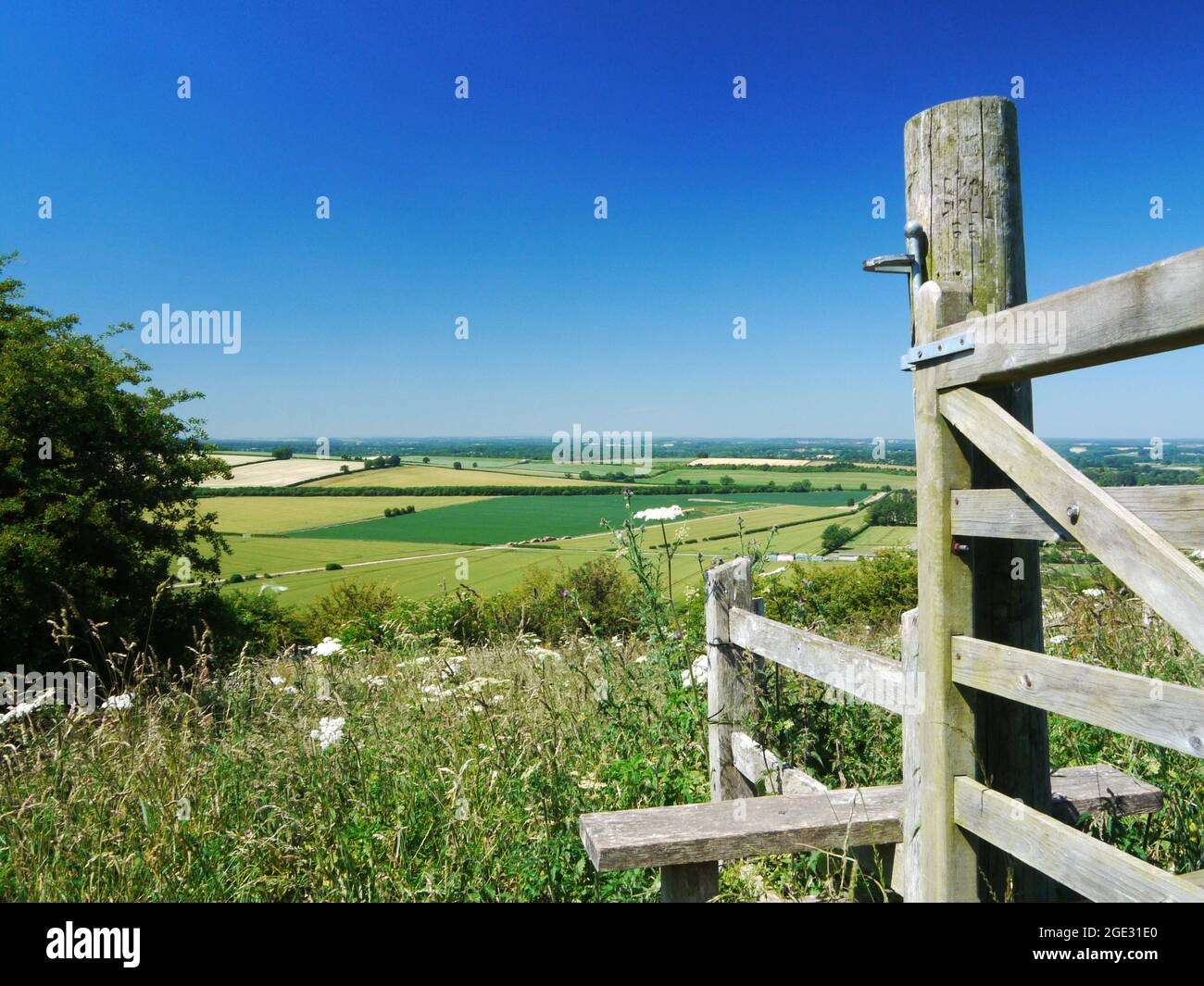 Wessex downs are home to villages associated with horse racing hi-res ...