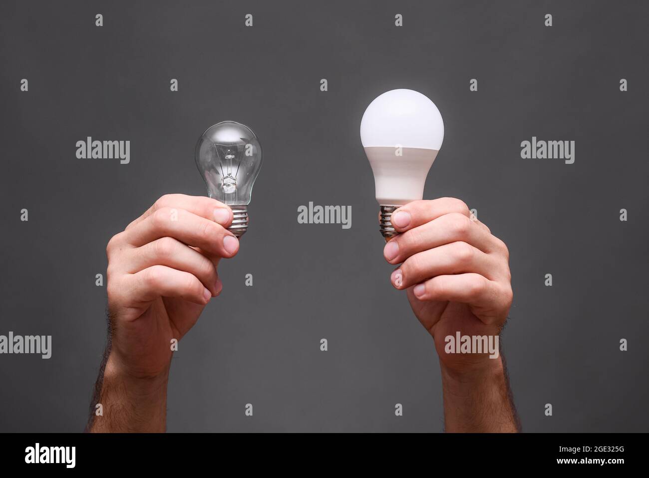 incandescent lamp and led economical lamp in the hands on a gray background.  Stock Photo