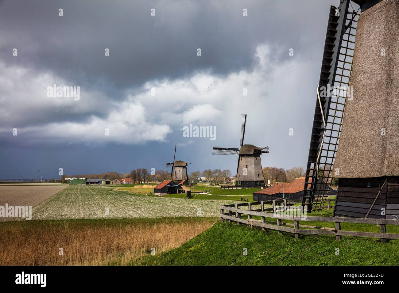 The Netherlands, Schermerhorn, windmills. Stock Photo