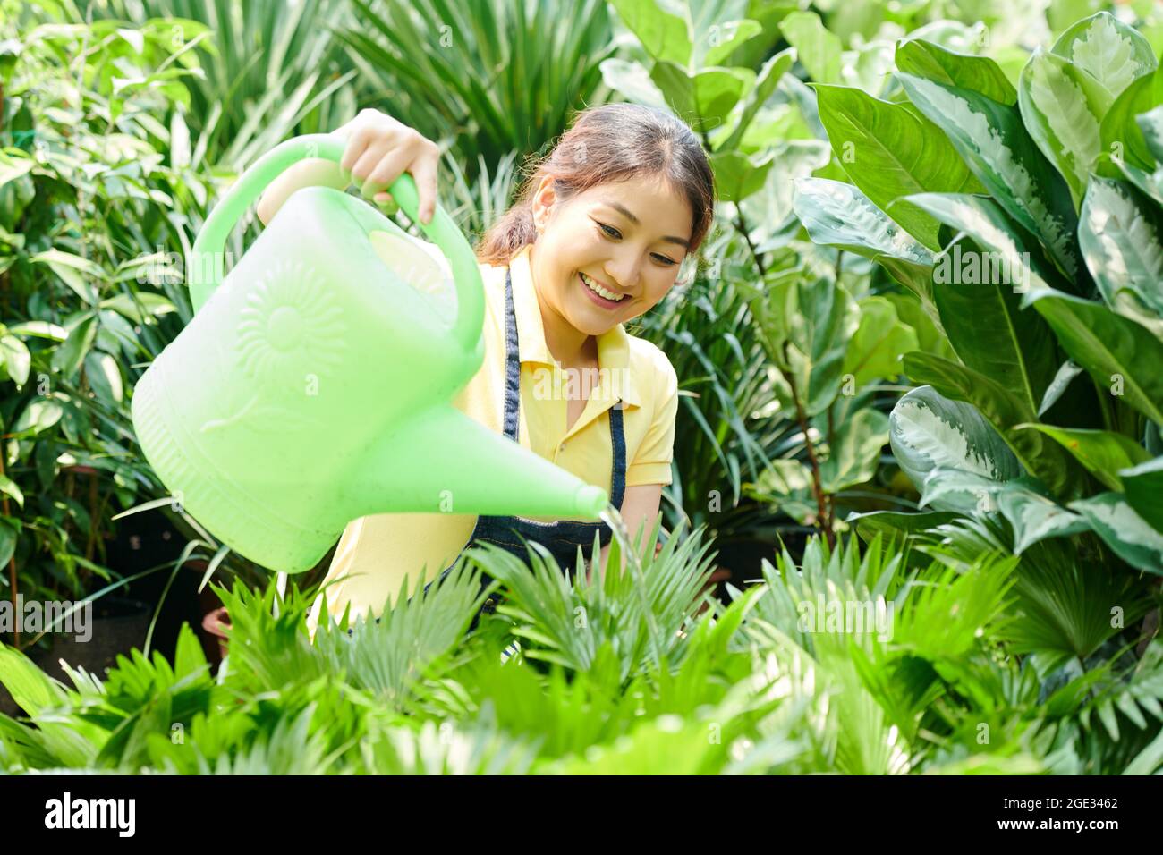 Pretty smiling young woman watering tropical plants in greenhouse or ...