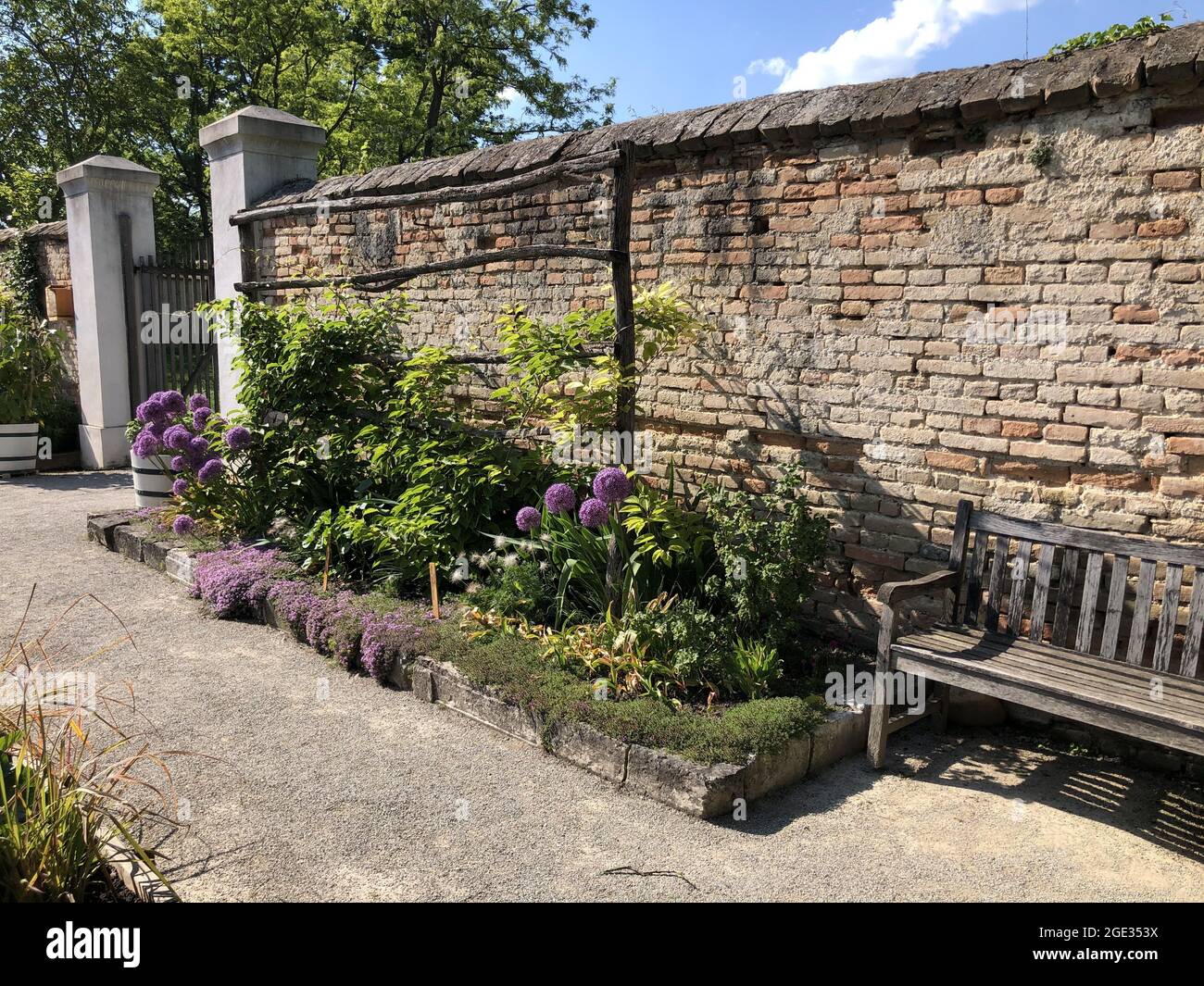 Old wooden bench in front of brick wall in Schloss Hof garden Stock ...
