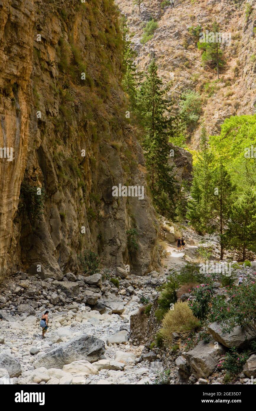 Hikers in a huge natural gorge with towering cliffs and pine trees ...