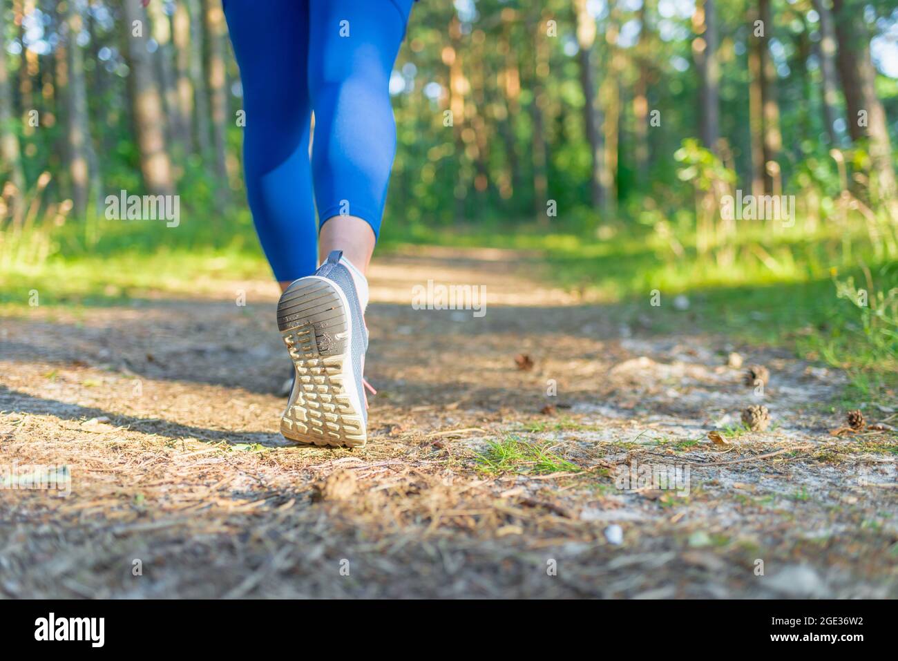 Athletic pair of legs running or jogging on a path during sunrise or sunset.healthy lifestyle concept. young fitness woman legs walking on summer fore Stock Photo