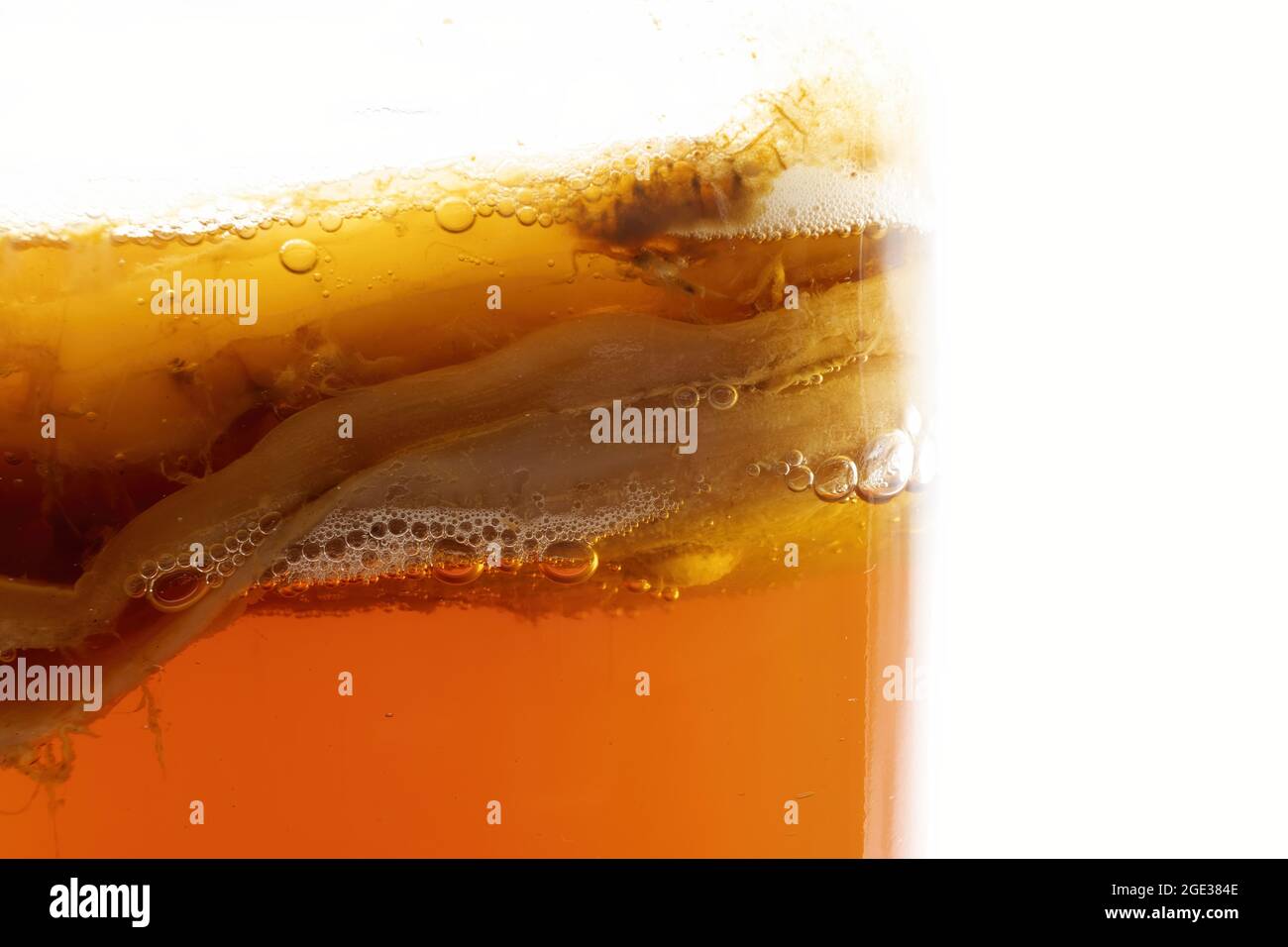 Anaerobic fermentation process of black tea kombucha, the CO2 gas