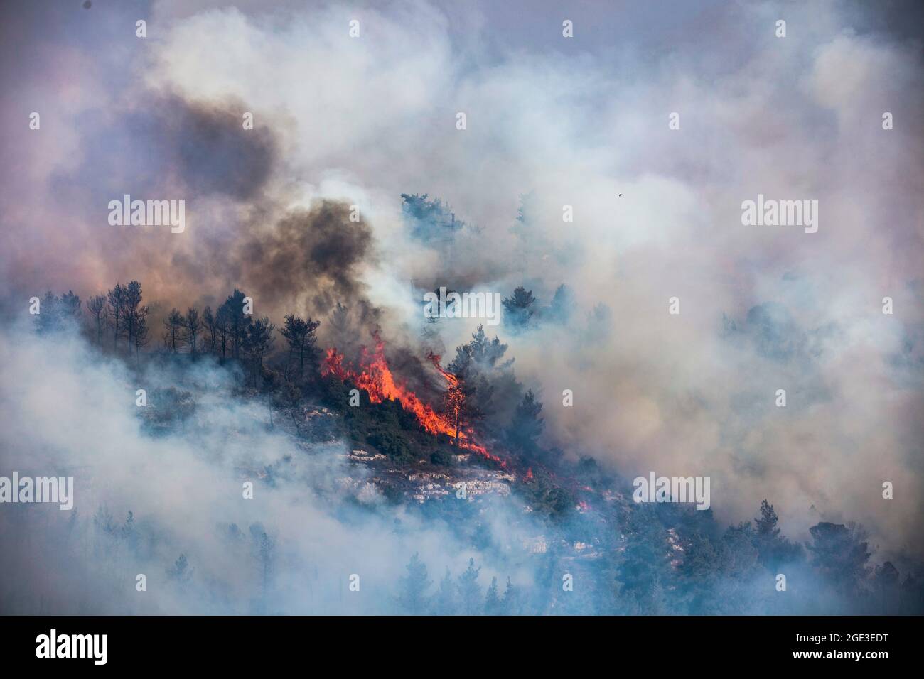 Jerusalem, Israel. 16th Aug, 2021. Smoke rise from burnung trees after a large forest fire broke out west of Jerusalem. Israeli police said that evacuations had begun in several villages affected by the flames and roads were being blocked off. Credit: Ilia Yefimovich/dpa/Alamy Live News Stock Photo